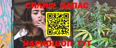 гидра Тверь