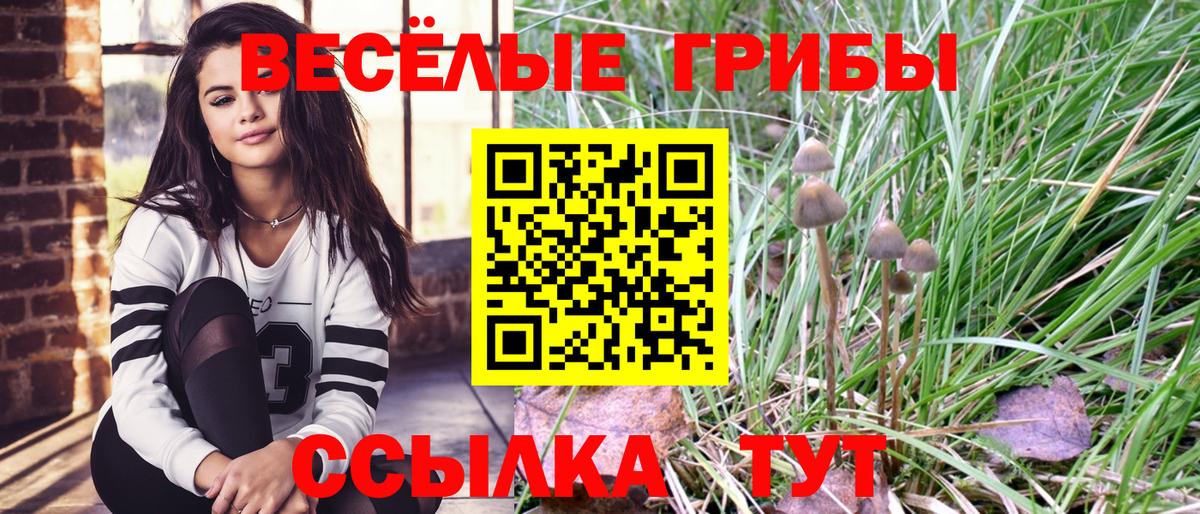 Галлюциногенные грибы MAGIC MUSHROOMS  Вход с VPN  Нефтекамск 