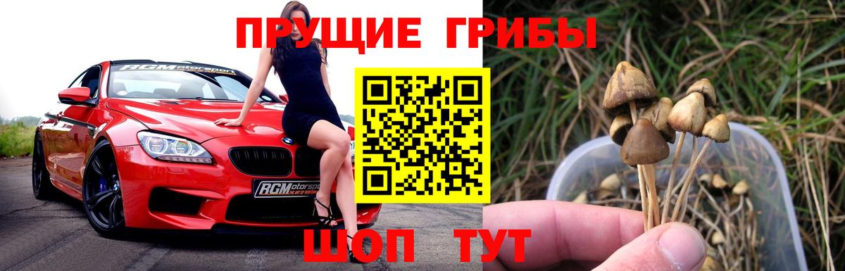 Галлюциногенные грибы GOLDEN TEACHER Нефтекамск
